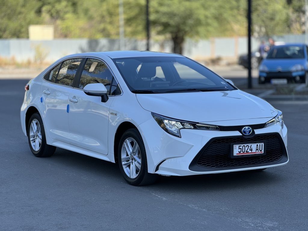 2019 TOYOTA LEVIN HYBRID